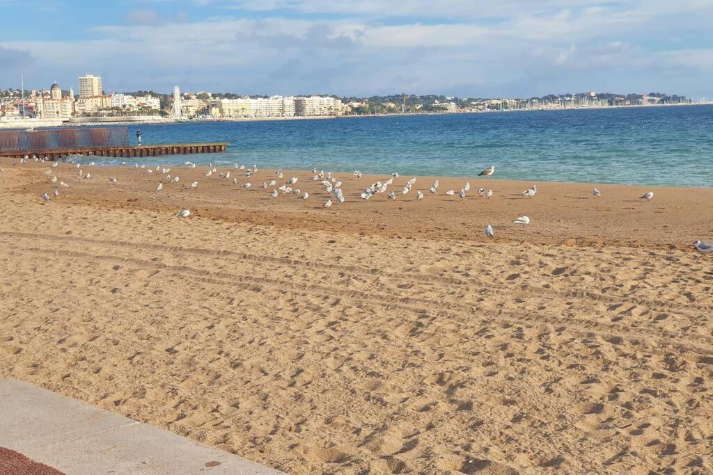 T2 Climatise A 5 Minutes A Pied De La Plage Avec Parking, Piscine Et Wifi Fréjus Exteriör bild